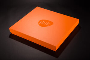 Box Lid and Bottom - selective vanish UV.